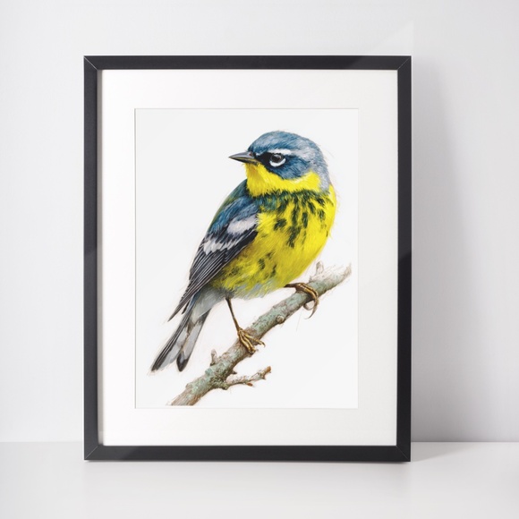 Watercolor Magnolia Warbler Bird Portrait Wall Art Print Poster , Unframed - Picture 3 of 7